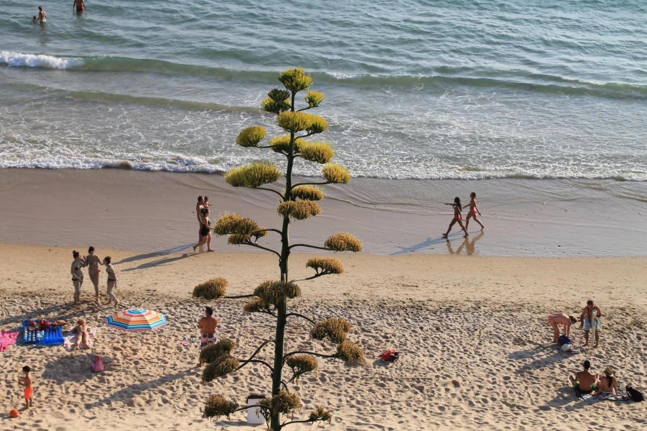 Dali Al Mar