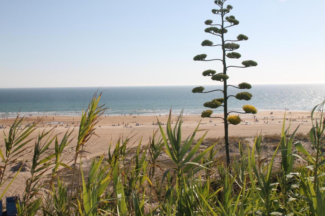 Dali Al Mar